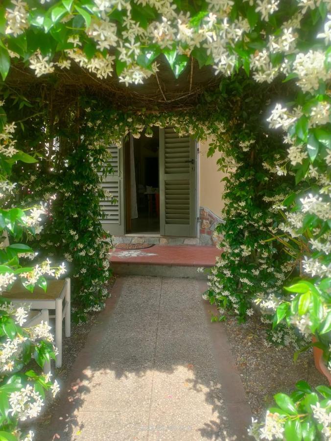 La Casa Di Fiorella Cerreto Guidi Exteriör bild